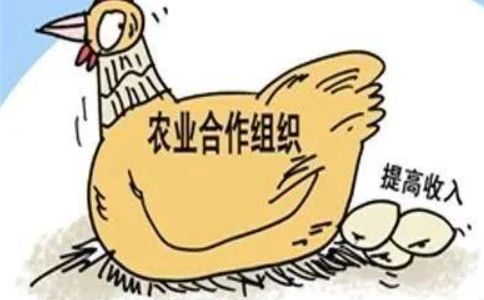 河南掌上登記合作社注銷(xiāo)(河南掌上登記名字怎么注銷(xiāo))